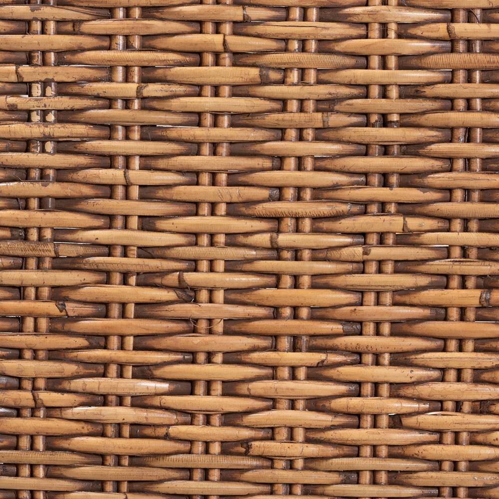 Neola Modern Wicker Fair Natural Rattan 2-Piece Dining Chair Set
