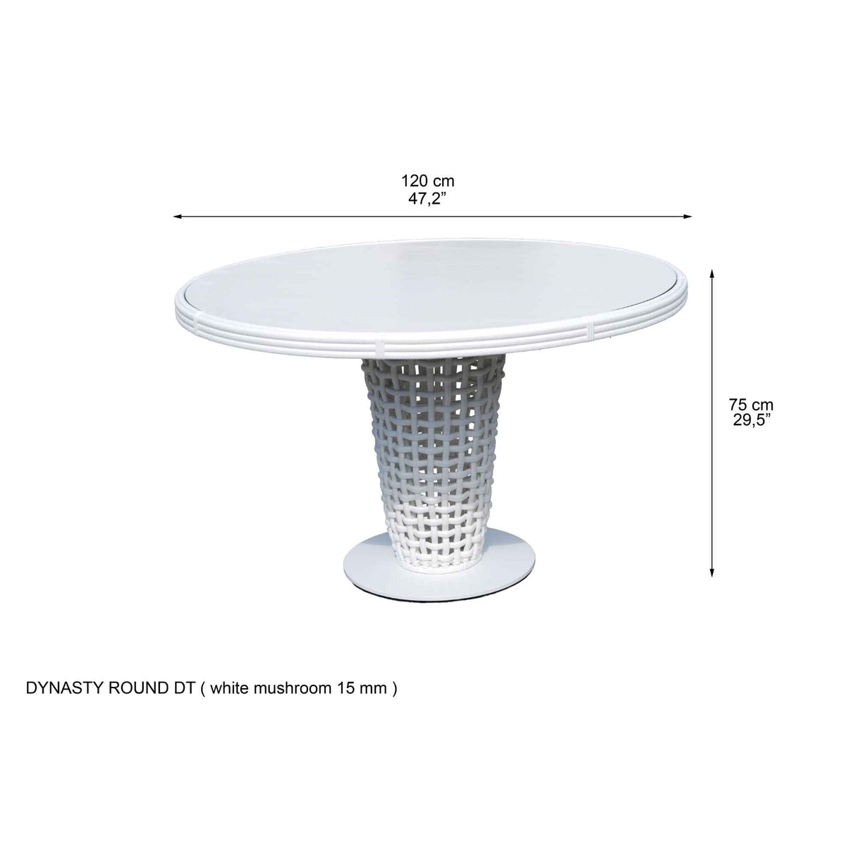 Dynasty Outdoor 5-Piece Dining Set with Sunbrella Cushion Model 22461-WMNP-5PC-CUSH by Skyline Design