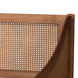 Ogden Mid-Century Modern Walnut Brown Finished Wood and Synthetic Rattan Twin Size Daybed