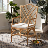 Delta Modern and Contemporary Natural Finished Rattan Dining Chair