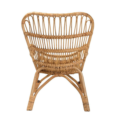 Earvin Modern Wicker Fair Natural Brown Rattan Armchair