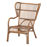 Lamaria Modern Bohmenian Natural Brown Antique Rattan 2-Piece Chair and Footstool Set