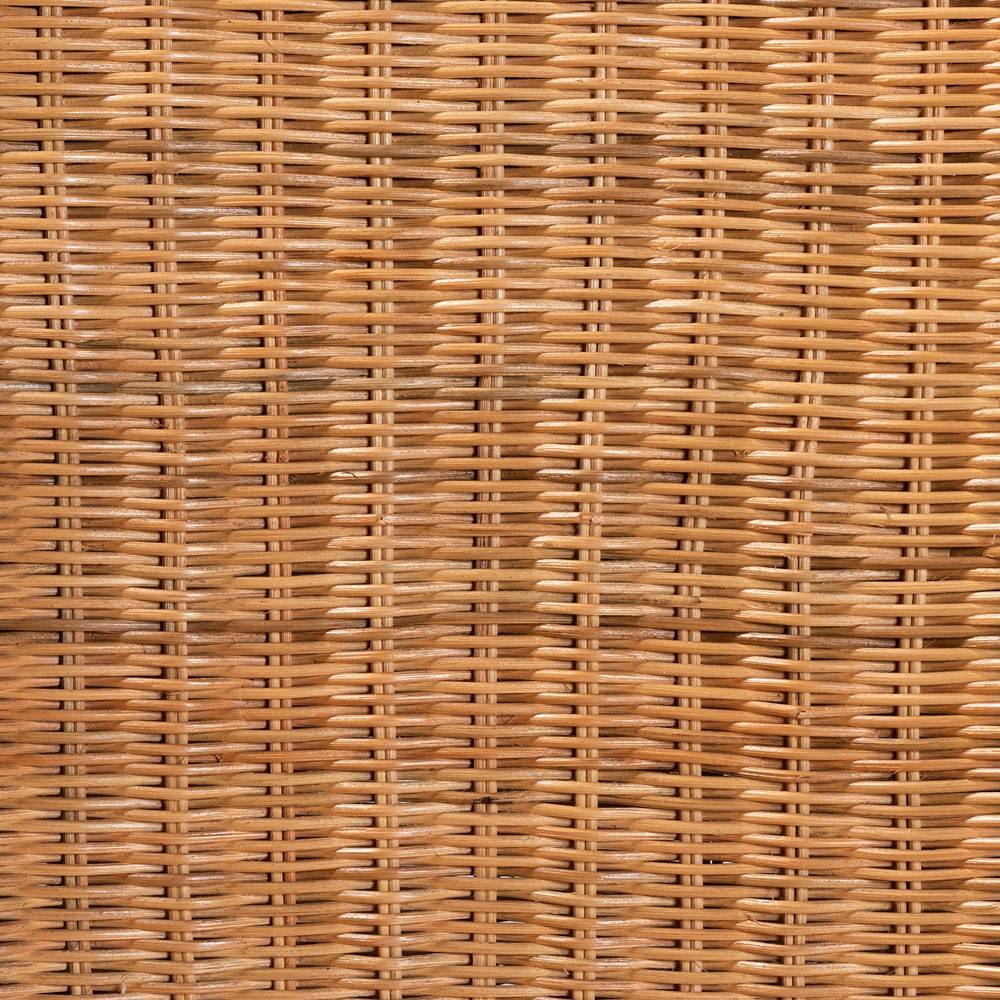 Racquel Modern Wicker Fair Natural Rattan and Mahogany Wood Counter Stool