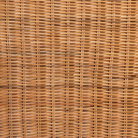 Racquel Modern Wicker Fair Natural Rattan and Mahogany Wood Counter Stool