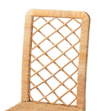 Moscow Modern Wicker Fair Natural Brown Rattan and Walnut Brown Mahogany Wood 2-Piece Dining Chair Set