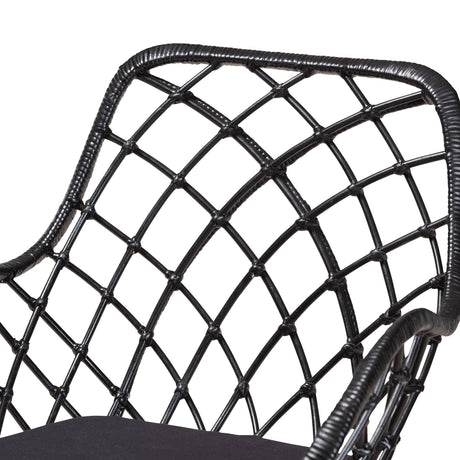 Ballerina Modern Wicker Fair Black Finished Rattan and Metal 2-Piece Dining Chair Set