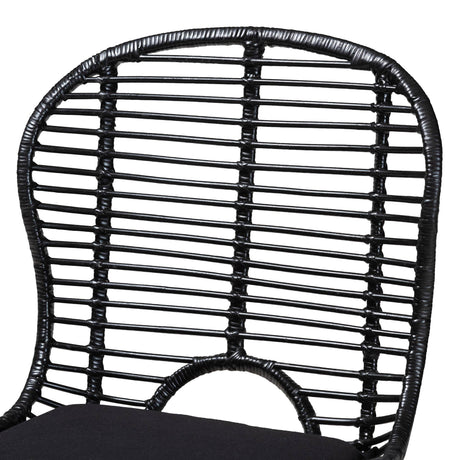 Brenna Modern Wicker Fair Black Finished Rattan and Metal 2-Piece Dining Chair Set