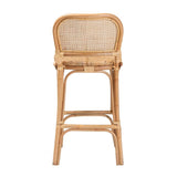 Adrena Modern Wicker Fair Natural Brown Rattan Bar Stool
