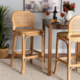 Adrena Modern Wicker Fair Natural Brown Rattan Bar Stool