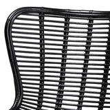 Colorado Modern Wicker Fair Black Rattan and Metal Accent Chair