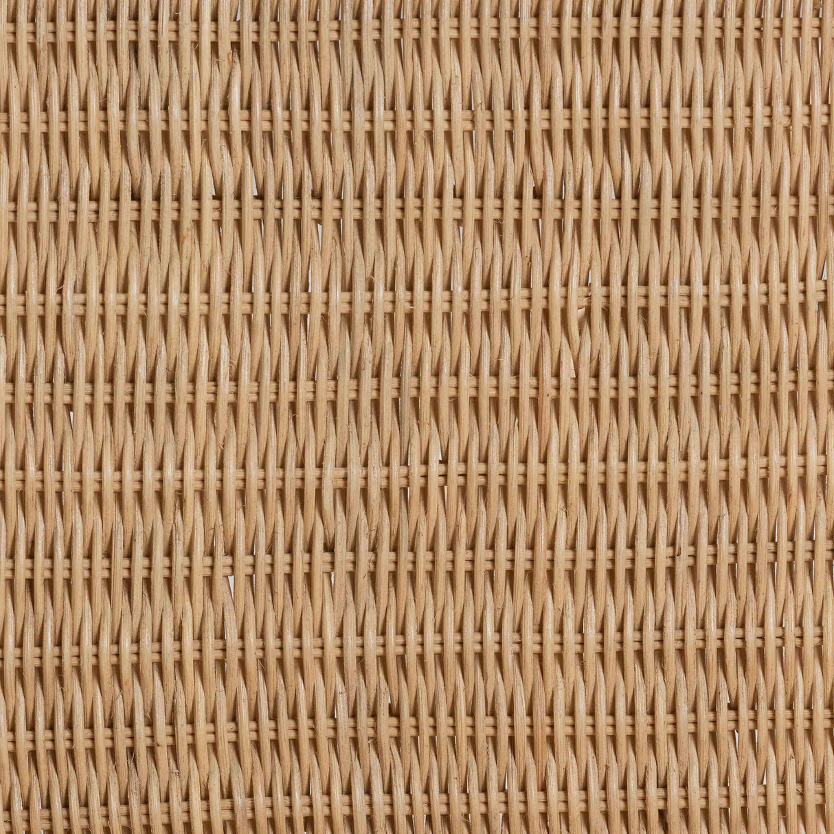 Jelita Modern Wicker Fair Natural Brown Rattan 2-Piece Dining Chair Set