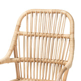Sumatera Modern Wicker Fair Natural Brown Rattan 2-Piece Dining Chair Set