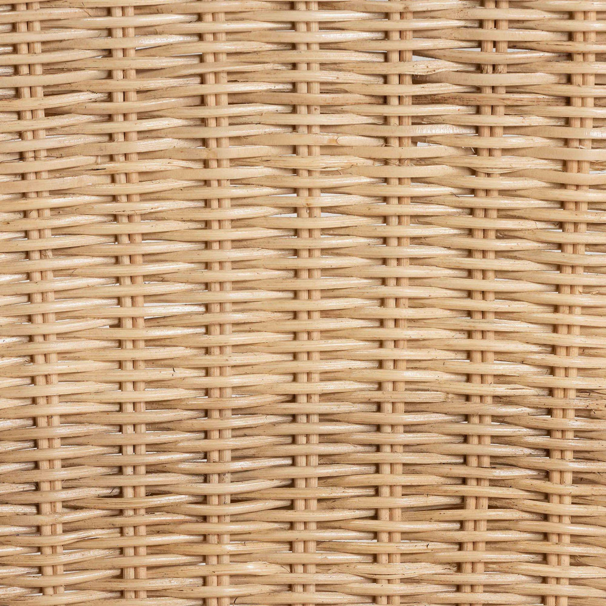 Sumatera Modern Wicker Fair Natural Brown Rattan 2-Piece Dining Chair Set