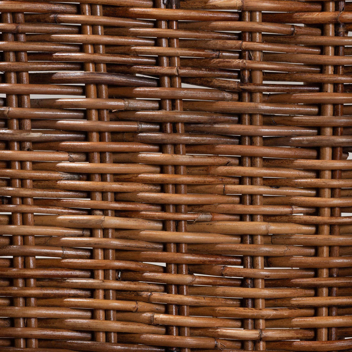 Mario Modern Wicker Fair Natural Brown Finished Teak Wood and Rattan 2-Piece Dining Chair Set