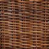 Mario Modern Wicker Fair Natural Brown Finished Teak Wood and Rattan 2-Piece Dining Chair Set