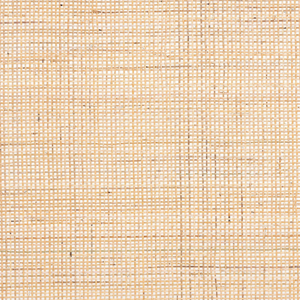 Aurelia Modern Wicker Fair Natural Brown Finished Bayur Wood and Rattan Queen Size Headboard