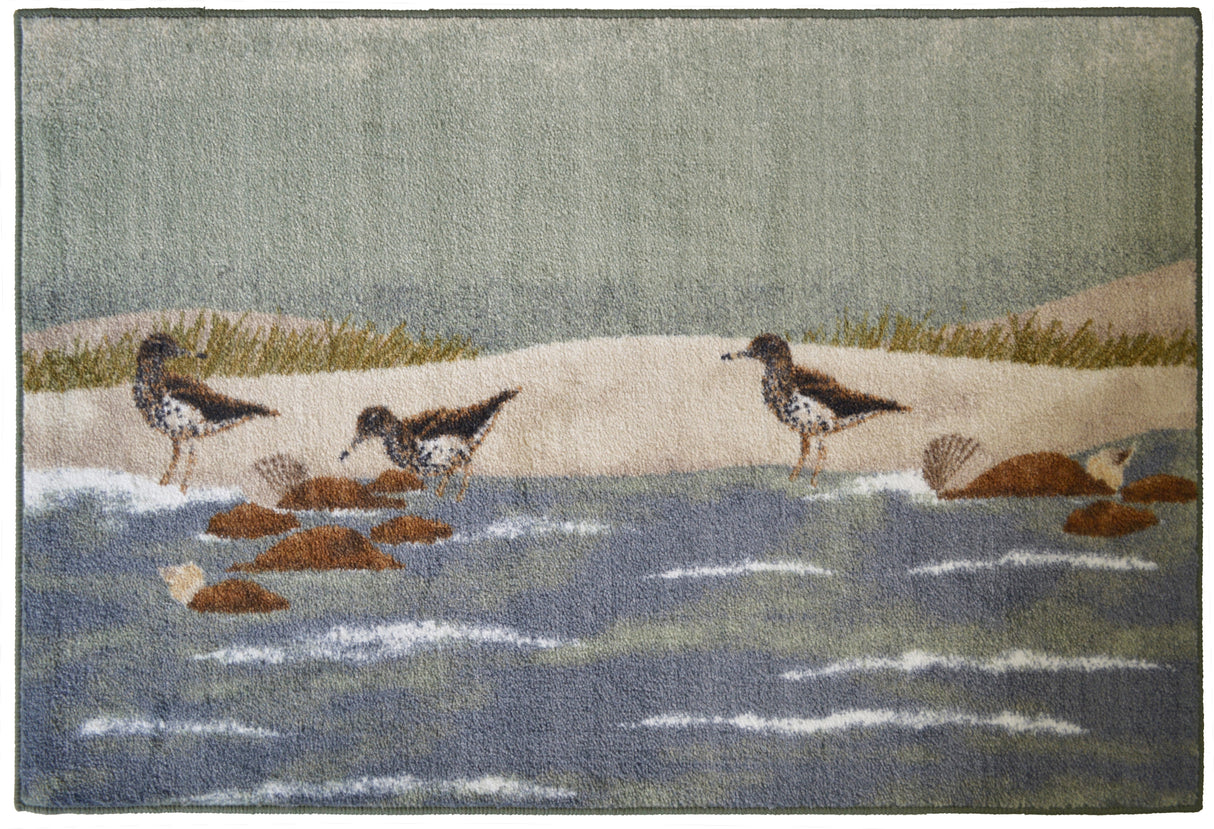 Sandpiper Shores Accent Rug