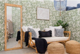 Wicker Fair Rattan Daybed with Cushion