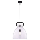 Breck Clear 14" Black Pendant