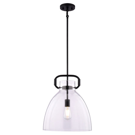 Breck Clear 14" Black Pendant